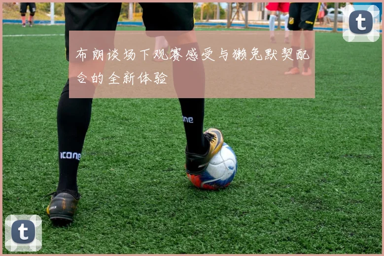 布朗谈场下观赛感受与獭兔默契配合的全新体验