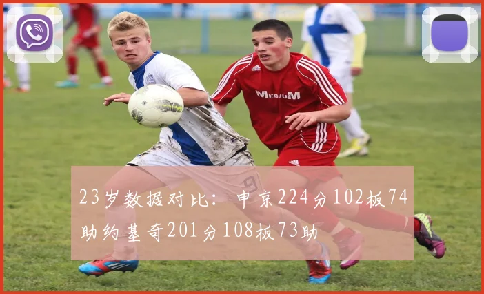 23岁数据对比：申京224分102板74助约基奇201分108板73助