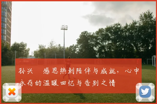 孙兴慜感恩热刺陪伴与成就，心中永存的温暖回忆与告别之情