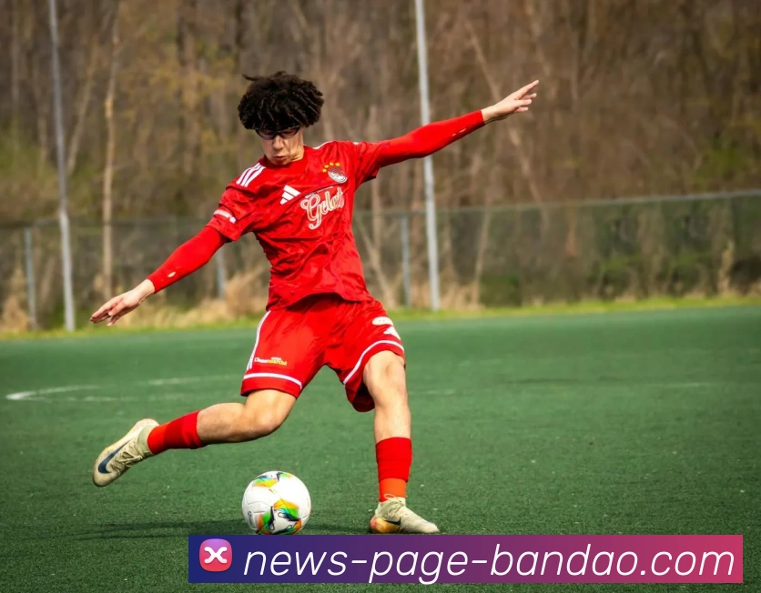 App Interface Preview