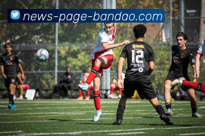 半岛体育APP 封面图